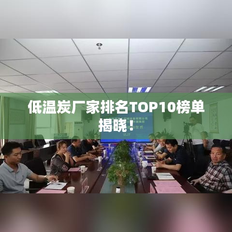 低温炭厂家排名TOP10榜单揭晓！