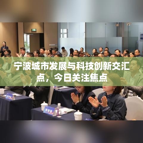 宁波城市发展与科技创新交汇点，今日关注焦点
