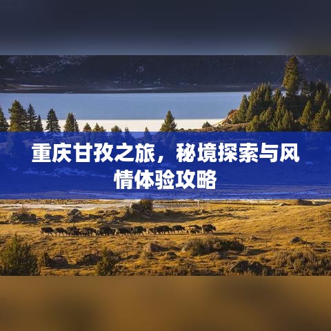 重庆甘孜之旅，秘境探索与风情体验攻略