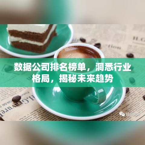 数据公司排名榜单，洞悉行业格局，揭秘未来趋势