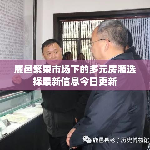 鹿邑繁荣市场下的多元房源选择最新信息今日更新