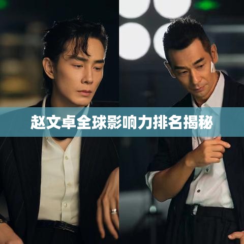 赵文卓全球影响力排名揭秘