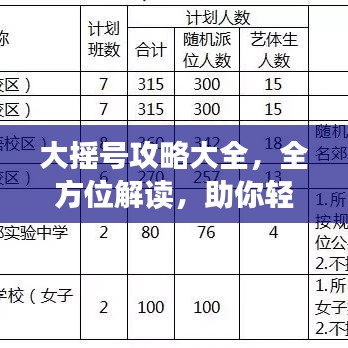 大摇号攻略大全，全方位解读，助你轻松成功！