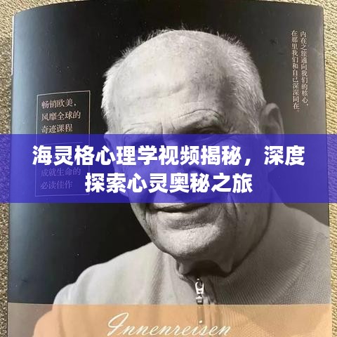 海灵格心理学视频揭秘，深度探索心灵奥秘之旅