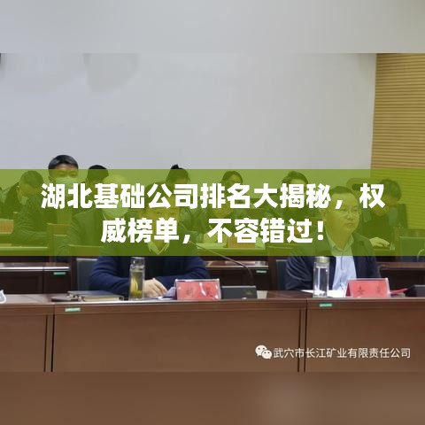 湖北基础公司排名大揭秘，权威榜单，不容错过！