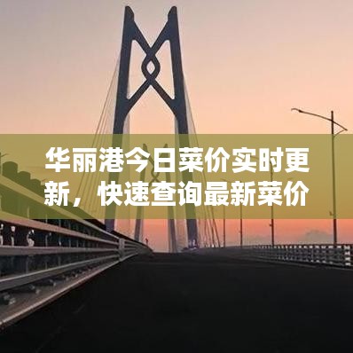 华丽港今日菜价实时更新，快速查询最新菜价信息