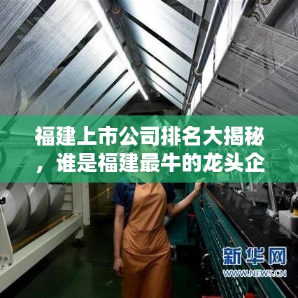 福建上市公司排名大揭秘，谁是福建最牛的龙头企业？