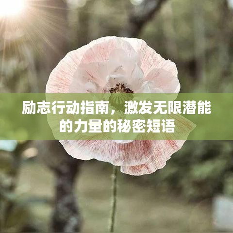 励志行动指南，激发无限潜能的力量的秘密短语