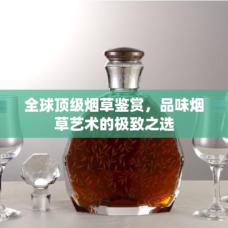 全球顶级烟草鉴赏，品味烟草艺术的极致之选