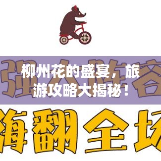 柳州花的盛宴，旅游攻略大揭秘！