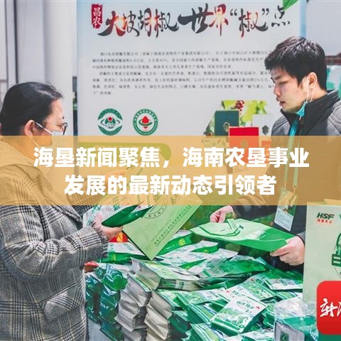 海垦新闻聚焦，海南农垦事业发展的最新动态引领者