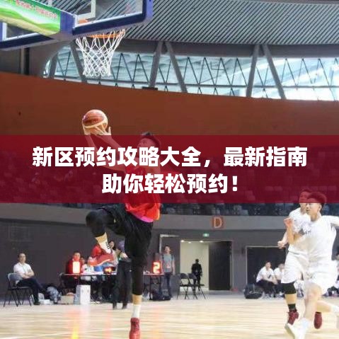 新区预约攻略大全，最新指南助你轻松预约！