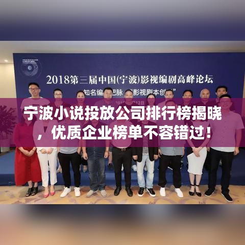 宁波小说投放公司排行榜揭晓，优质企业榜单不容错过！