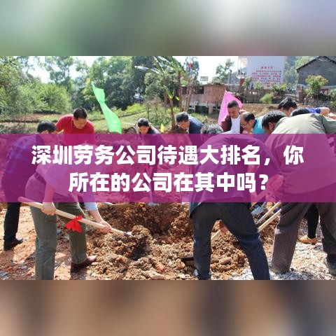 深圳劳务公司待遇大排名，你所在的公司在其中吗？