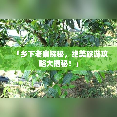 「乡下老寨探秘，绝美旅游攻略大揭秘！」