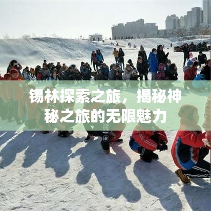 锡林探索之旅，揭秘神秘之旅的无限魅力