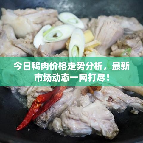今日鸭肉价格走势分析，最新市场动态一网打尽！
