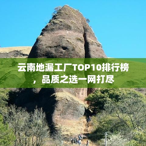 云南地漏工厂TOP10排行榜，品质之选一网打尽