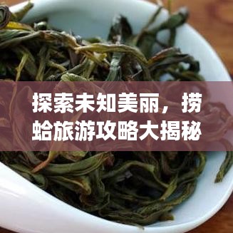 探索未知美丽，捞蛤旅游攻略大揭秘！