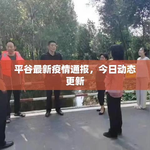 平谷最新疫情通报，今日动态更新
