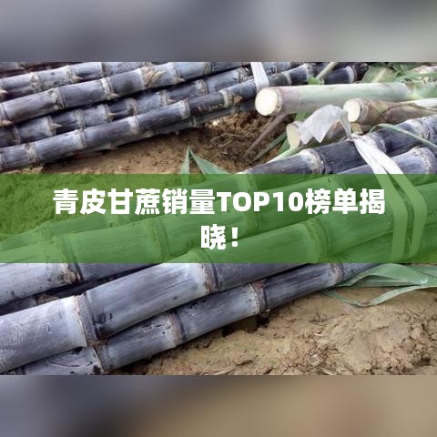 青皮甘蔗销量TOP10榜单揭晓！