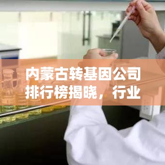 内蒙古转基因公司排行榜揭晓，行业领先企业一览