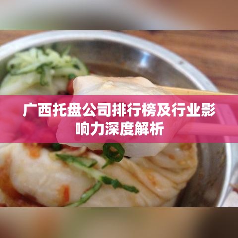 广西托盘公司排行榜及行业影响力深度解析