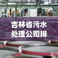 吉林省污水处理公司排名揭晓，行业影响力榜单重磅出炉！