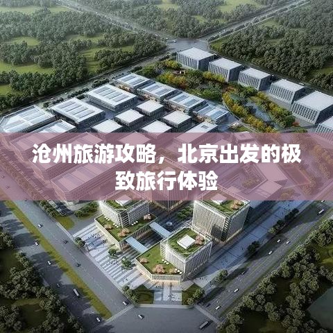比翼鸟
