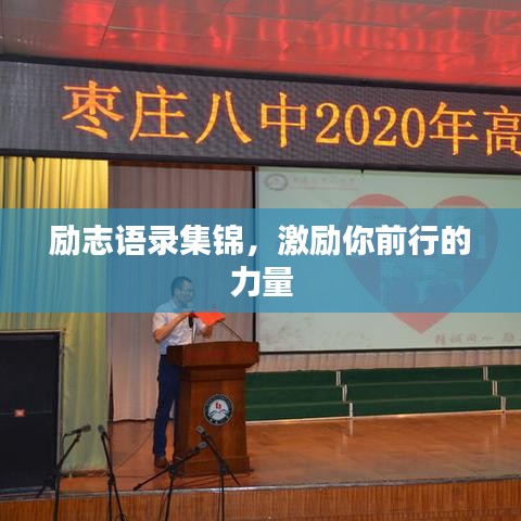 不知就里