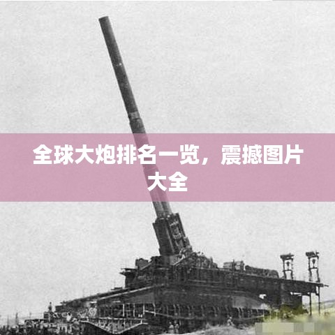 沉厚寡言