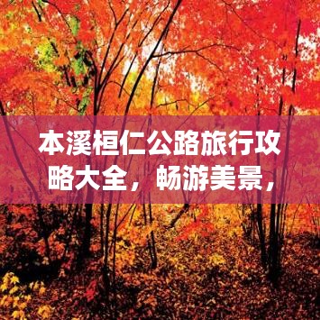 蛙蟆胜负