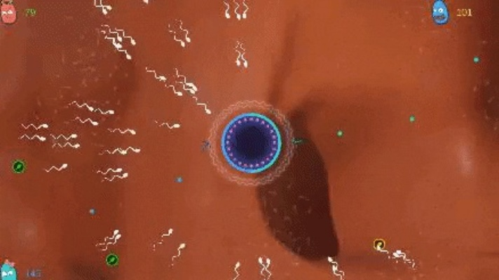 精子手游和avgo官方怎么下载,安全解析方案-2DM_v6.140