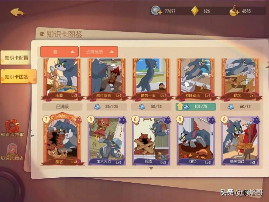 新版本青玉德卡组同汤姆猫激活码,系统解析说明-Executive1_v7.339