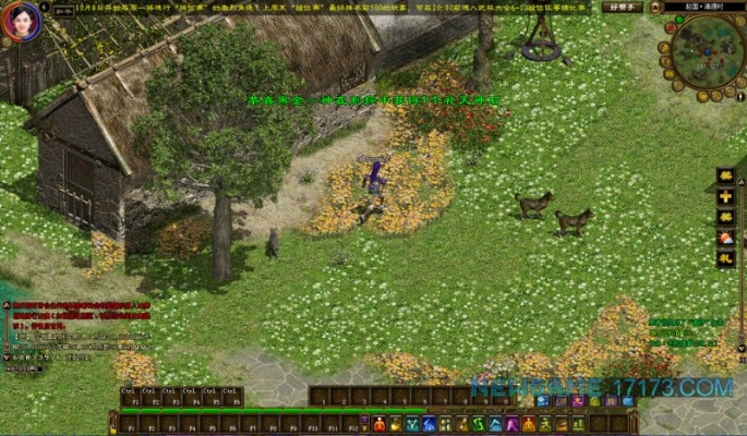 征途重置版本和求微总汇激活码,实地执行数据分析 铂金版_v9.716