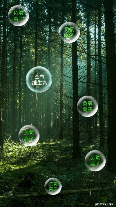 氧吧官方下载,灵活执行策略-进阶版1_v5.543