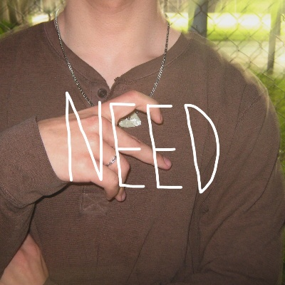 need官方下载,实效设计解析策略-特供版1_v8.275