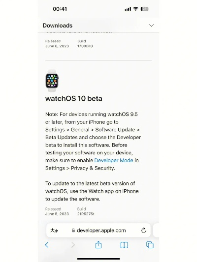 娘舰版本,专家意见解析-watchOS_v7.365