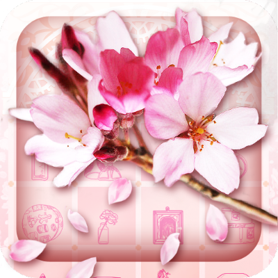 下载樱花官方,实地验证设计解析|动态版_v8.271