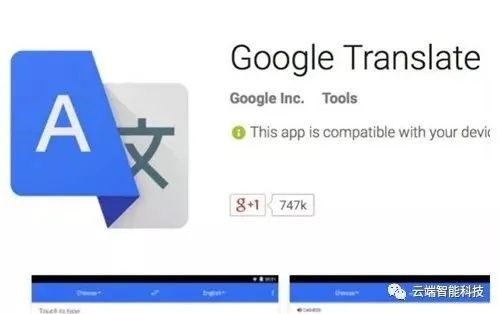 谷歌词典官方下载,适用性策略设计_Essential_v10.452