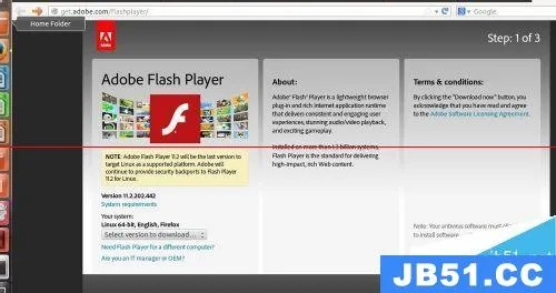 mac版本flash,快速解答方案执行&amp;V_v10.410
