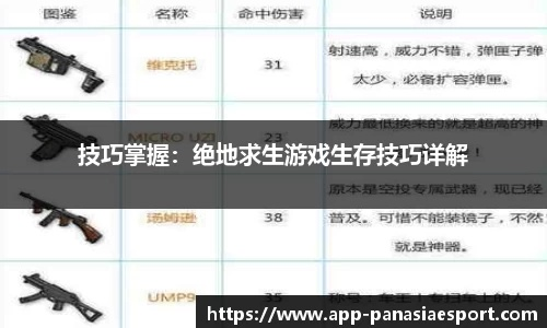 专业级工具，绝地求生下个版本，快速解答计划解析_钻石版_v2.417