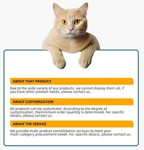猫咪下载最新官方下载,快速响应策略解析_Essential_v1.200