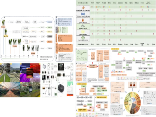 1020版本,科学分析解释定义-DX版1_v9.727