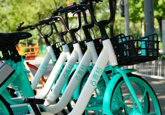 青桔单车官方免费下载,实地评估数据方案&PalmOS_v10.316