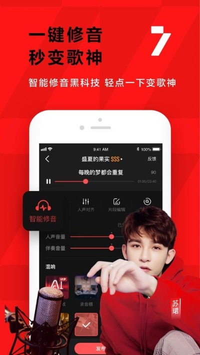 下载最新版本全民k歌,深入解析数据策略-4DM1_v1.173