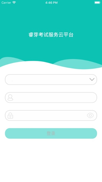 睿芽官方下载,系统解答解释定义&工具版_v7.324