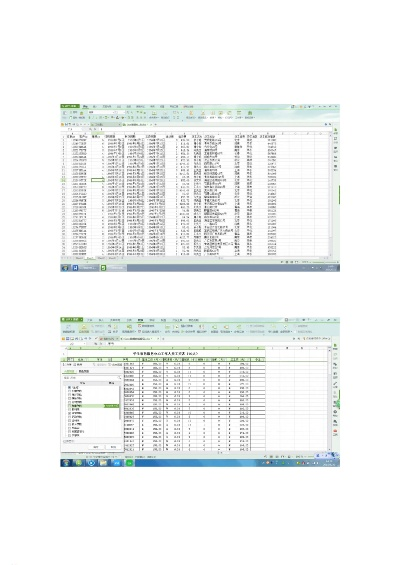 excel 最新版本,实证分析说明_Holo_v5.648