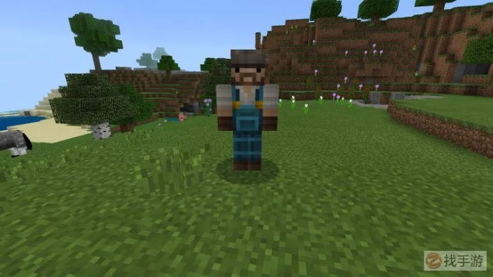 我的世界官方包下载,深入数据策略设计|Advanced_v1.120