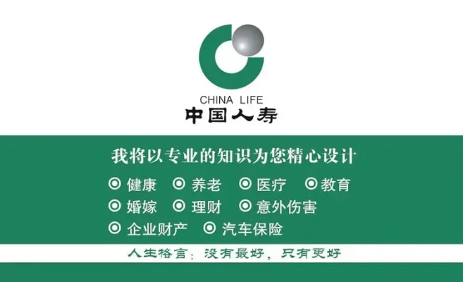 为什么你应该选择中国人寿官方网站下载实地评估策略_tool_v6.602？